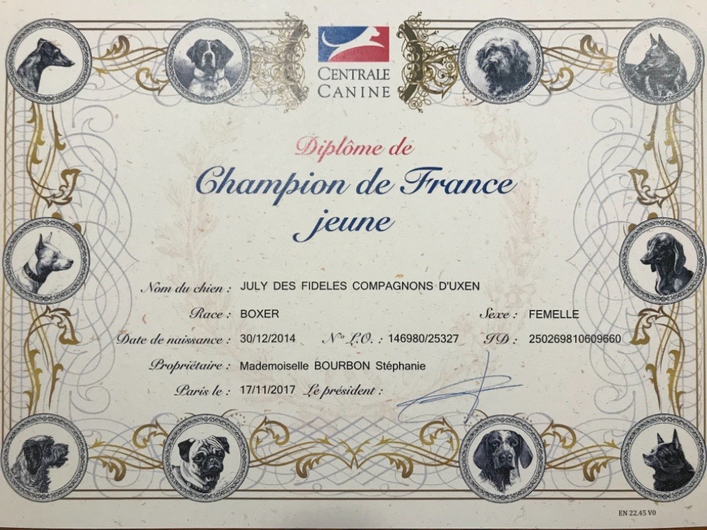 Des Fidèles Compagnons d'Uxen - July Championne de France Jeune !!!