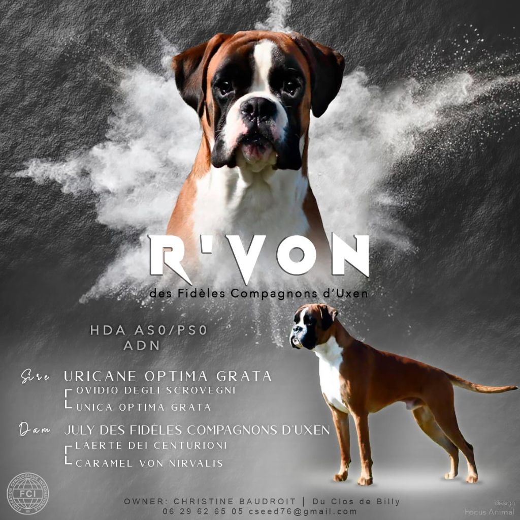 R von Des Fidèles Compagnons d'Uxen