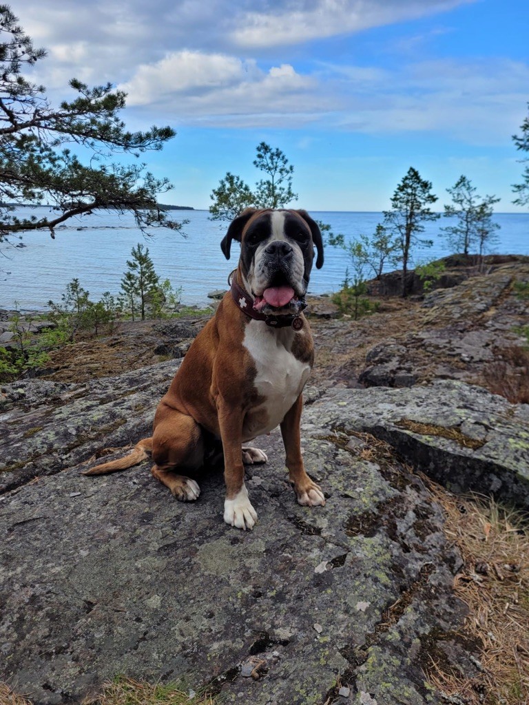 Roxanne Des Fidèles Compagnons d'Uxen