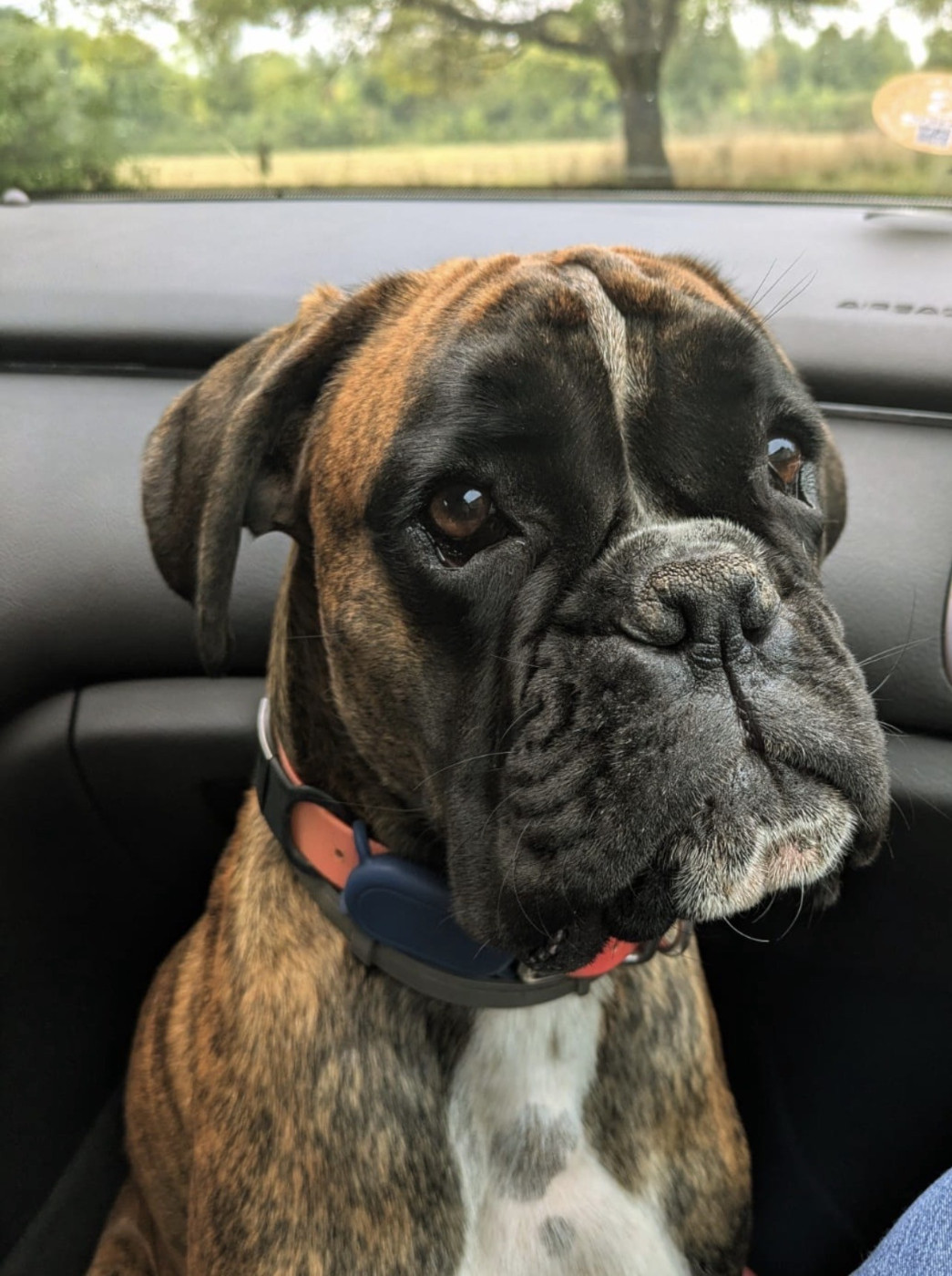 V'lilith Des Fidèles Compagnons d'Uxen