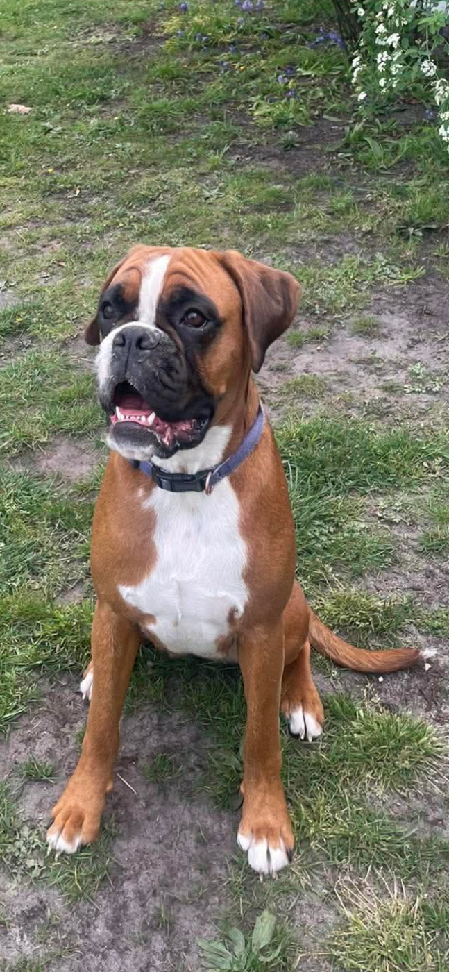 Adèle Des Fidèles Compagnons d'Uxen