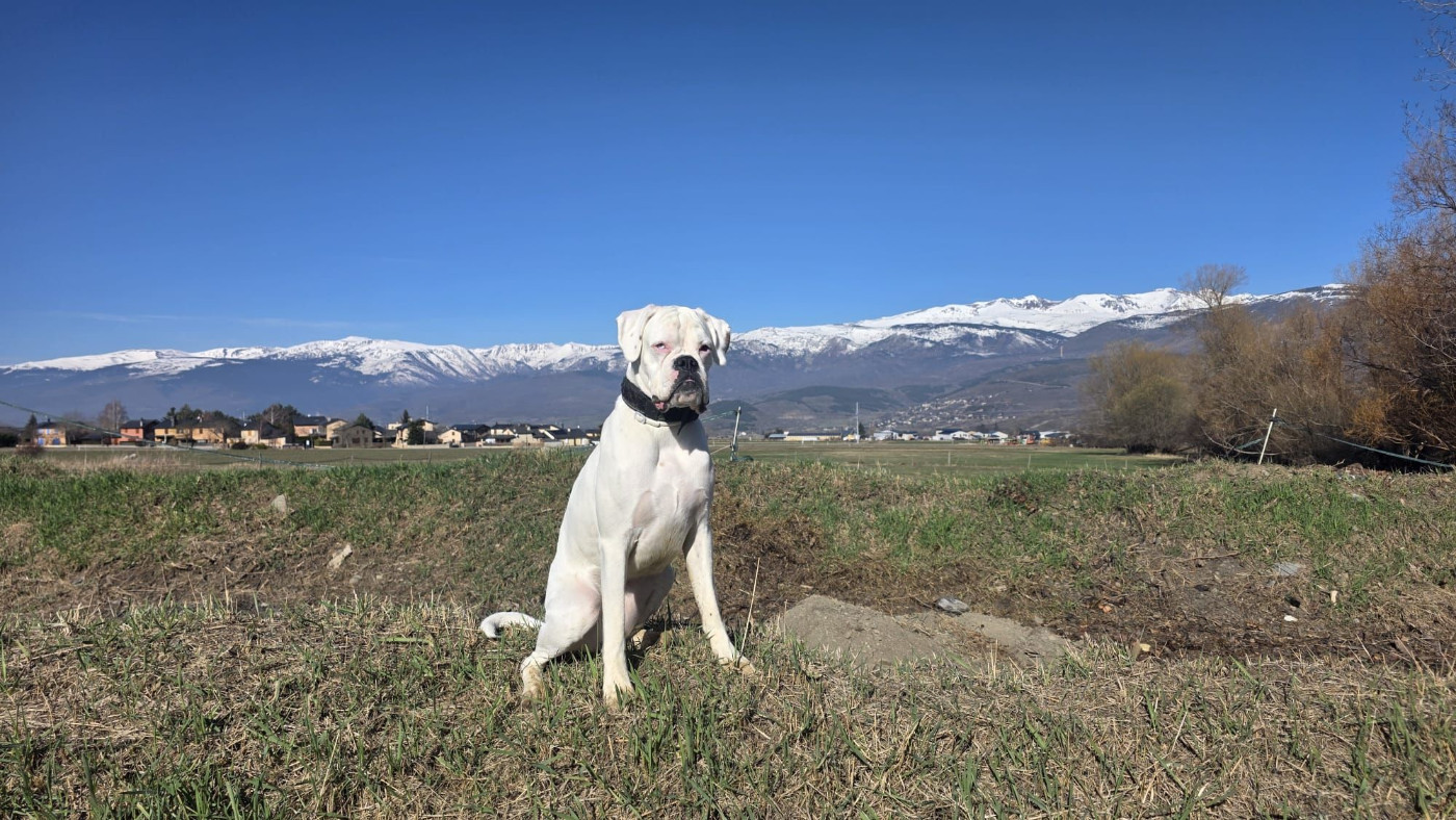 Angel dite aria Des Fidèles Compagnons d'Uxen