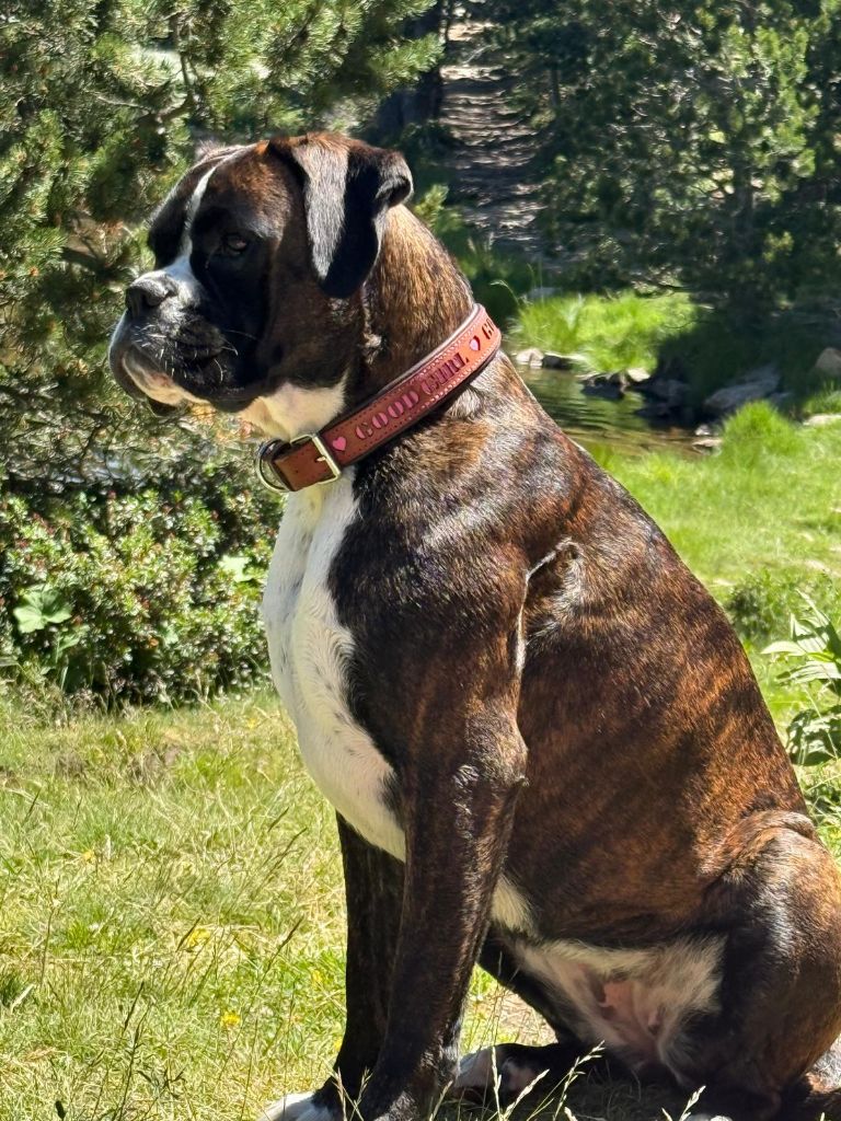 Vida Des Fidèles Compagnons d'Uxen