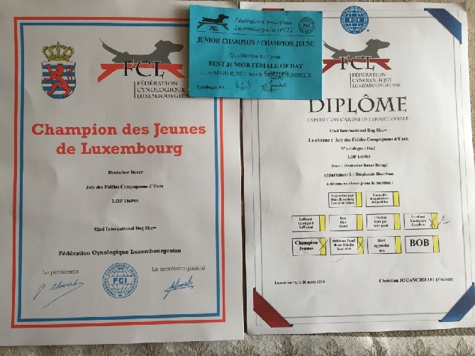 Des Fidèles Compagnons d'Uxen - Championne jeune de Luxembourg !!! 