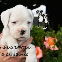 ACHKA